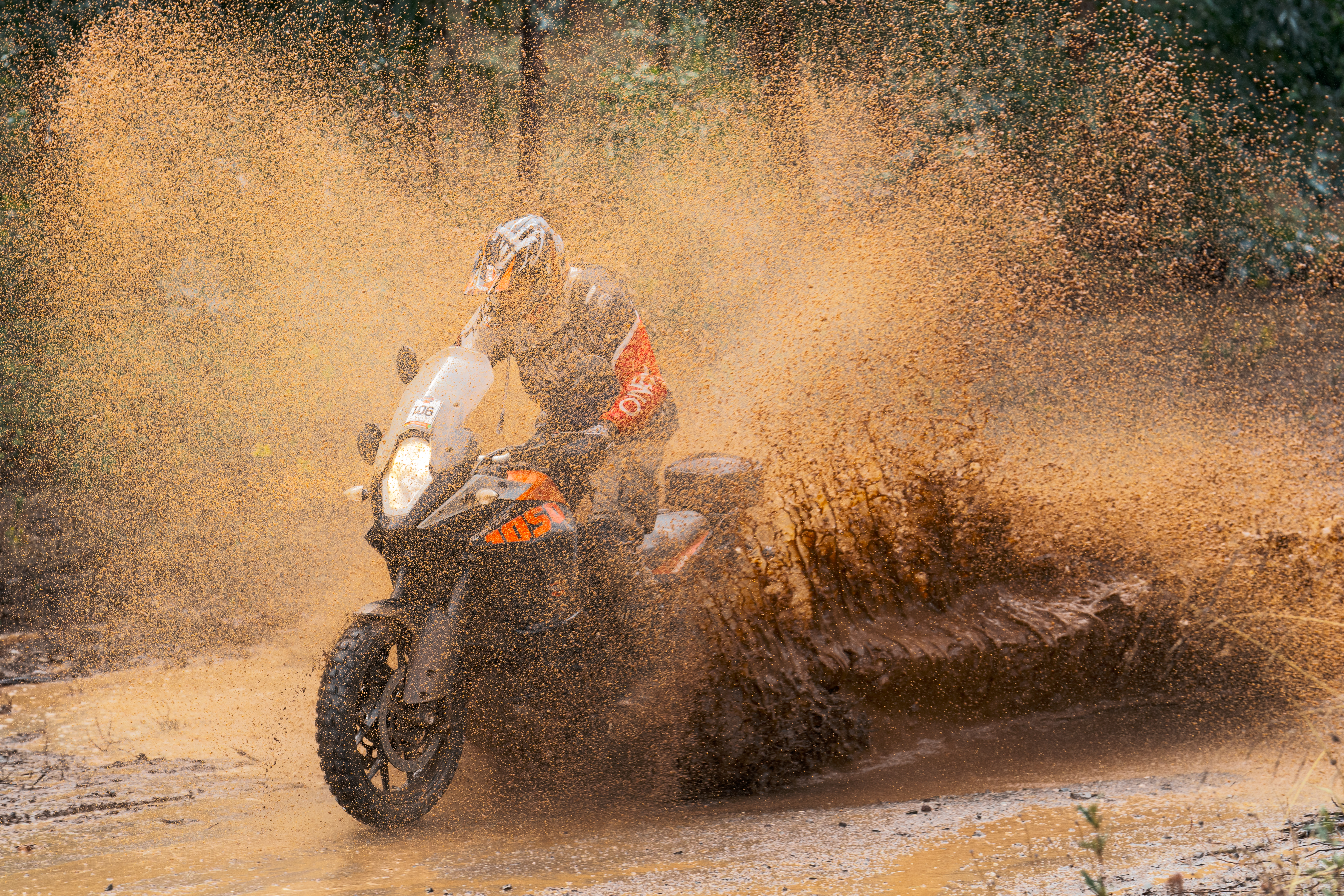 Portugal Rally